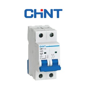 INTERRUPTOR RIEL NB1-63 2P 10A 6K CURVA B CHINT