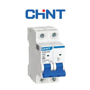 INTERRUPTOR RIEL NXB-63 2P 4A 6K 898 10K 947 C LIC