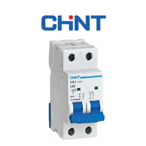 INTERRUPTOR RIEL NB1-63 2P 2A 6K 898 10K 947 CHINT